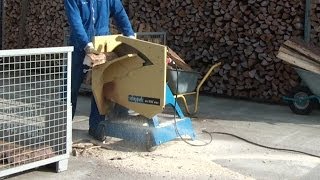 Wippsäge Brennholzsäge Scheppach WOX 600 im Einsatz firewood saw in action [upl. by Luanni]