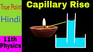 🔴 Capillary Rise  Surface Tension  in Hindi [upl. by Nnailuj]