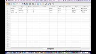 How to Calculate a Two Way ANOVA using SPSS [upl. by Espy524]