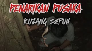 PENARIKAN PUSAKA KUJANG SEPUH [upl. by Assiral]