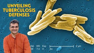 How is the Laboratory of Mycobacterial Pathogenesis fighting TB tuberculosis [upl. by Karia]