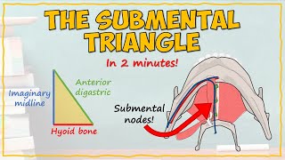 The Submental Triangle [upl. by Carolyne106]