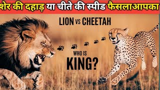 शेर की दहाड़ या चीते की स्पीड 2025 you to decide [upl. by Ennaoj]