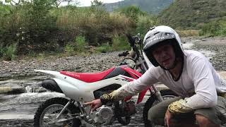 REVIEW HONDA CRF110F [upl. by Daza288]