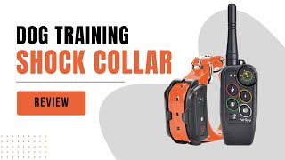 PetSpy Premium Dog Training Shock Collar  Review [upl. by Ariek]