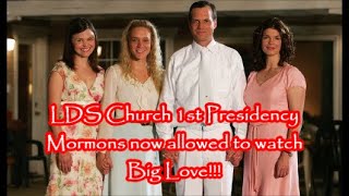 Ex Former amp NEVER Mormons EX FO NEVER MOs Believe the Lies of LDS Church Danites [upl. by Atinhoj]