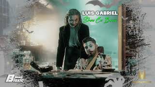 Luis Gabriel  Show Cu Banii  REMIX [upl. by Schafer]