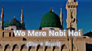 Wo Mera Nabi Hai SlowReverb Naat  Syed Hassan Ullah Hussani  Lofi Naat 2024 [upl. by Aniaz989]