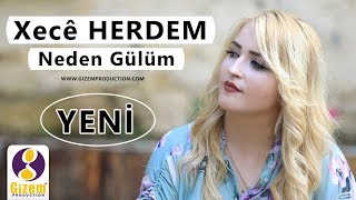 Xecê Herdem  Neden Gülüm Akustik [upl. by Alisha]