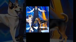 Americas Got Talent Dogs Magic😱😨  Duo SchumacherAGTamericagottalentmagic [upl. by Barren]