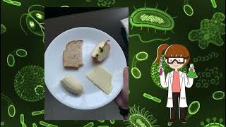 Proyecto de microbiologia Descomposición de alimentos por bacterias [upl. by Nyasuh427]