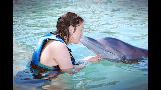 NADO CON DELFINES  XCARET  CANCUN  MEXICO [upl. by Bartle508]