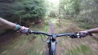 Dalby Forest Offpiste mtb trails [upl. by Enale408]