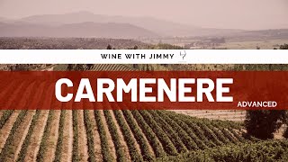 Grape Varieties  Carmenere Advanced Version ideal for WSET Level 3 and Level 4 WSET Diploma [upl. by Eirena710]