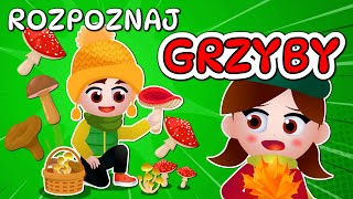 🍄 Kazio i TEST GRZYBIARZA  Grzybobranie dla dzieci  Rozpoznawanie grzybów 🍄 [upl. by Fong]