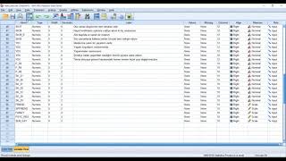 SPSSde Faktör oluşumu için compute yapmak [upl. by Irehj3]