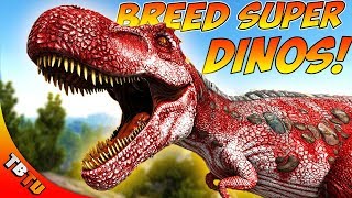 HOW TO BREED SUPER DINOS ARK STAT MUTATIONS EXPLAINED Ark Survival Evolved Breeding Tutorial [upl. by Wentworth]