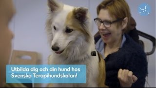 Svenska Terapihundskolan [upl. by Ennaeirb]