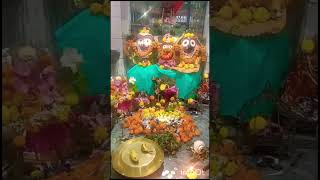 Jai Jagannath 🙏🏻🙏🏻shortsytshortsshortsindiasong [upl. by Astto]