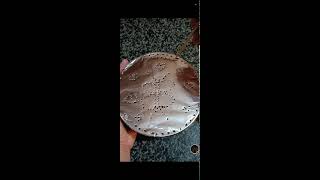 shamzavino Vlogs is live ODD ASMR  VERY SATISFYING FANTASTIC FOIL ASMR SOUND asmr trending foil [upl. by Nelson]