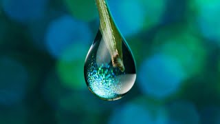 Water Drop Sound Effect  3D Sound Effects  splash to drips [upl. by Barkley425]