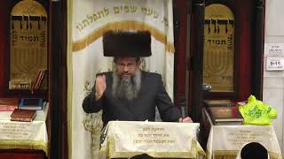 Shiur Techeiles in Yiddish  Rabbi Benzion Halberstam  Chol Hamoed Sukkos  5777  Boro Park [upl. by Nosdivad]