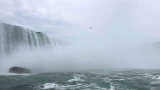 Niagara Falls perspective… [upl. by Eolanda]