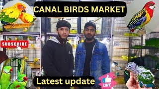 Canal birds market latest price update  sasti birds market  birds market [upl. by Subocaj479]