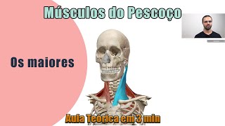 Músculos do Pescoço  Teórica  Anatomia Humana [upl. by Lizette]