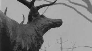 Agalloch  The Mantle Full Album [upl. by Lohner]