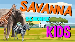 What is a Savanna  Science for Kids [upl. by Wini]