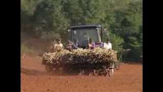 CASSAVA PLANTER  THE ORIGINAL ONE and PIONEER by PLANTI CENTER Brazil [upl. by Rehteh]