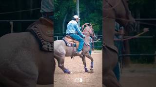 Team Roping  2023 Wellington Pro Rodeo  Friday [upl. by Aibar]