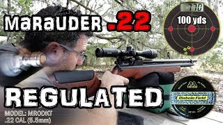 Benjamin Marauder 22 Air Rifle  50 amp 100 Yard Accuracy TEST  FULL REVIEW  Regulated PCP Airgun [upl. by Disario]