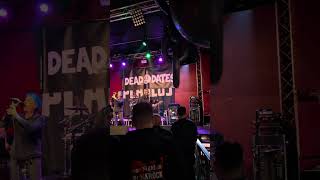 Dead Dates  Reisefieber Cover Die Toten Hosen [upl. by Vachell621]