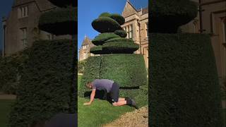 This guy cut the grass PT2 shorts youtubeshorts shortsfeed viralvideo viralshort [upl. by Novi410]