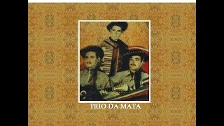 VOLTAREI PRA TE VER  Trio da Mata [upl. by Madella]