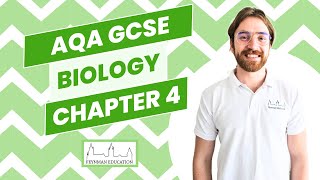 AQA GCSE Biology B4 Organising Animals and Plants  EXPLAINED [upl. by Els]