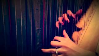 Harp Wedding Ceremony Band Music Tampa Bay [upl. by Gracye]