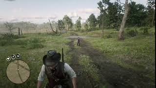 Red Dead Redemption 2 Killing Magnifico [upl. by Affra]