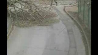 man running to save a mans life from falling tree [upl. by Areid]