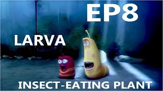 Larva season 1 Ep 8 Insecteating Plant FULL HD [upl. by Ilyak]