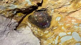 A colorful Koroit opal nut in the ceiling [upl. by Clayborne]