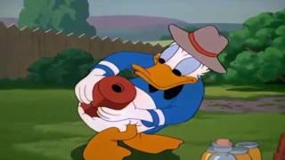 Bengali Kids Cartoon 2016 Bangla Stories For KidsMICKEY CHIP AND DALE amp DONALD DUCK CARTOONS [upl. by Simmie452]