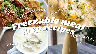 ✨ QUICK AND EASY FREEZABLE RECIPES [upl. by Eilahs]