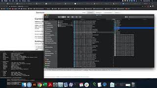 Samtools Mpileup Tutorial [upl. by Hau]