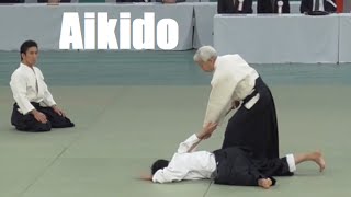 Aikido Doshu Ueshiba Moriteru Sensei at the 54th All Japan Student Aikido Demonstration [upl. by Nesnar]