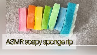 ASMR Soapy Sponge Week  bulk kitchen dish scour sponges ripping ASMR oddlysatisfying [upl. by Nylsoj]