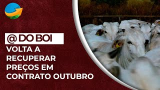 Contrato outubro para a arroba bovina tem forte recuperação nesta semana retomando boa parte do [upl. by Lehcnom]