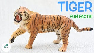 TIGER FACTS  Fun amp Educational  For Kids  Best Animal Facts  From Learning Toolkit [upl. by Allard]